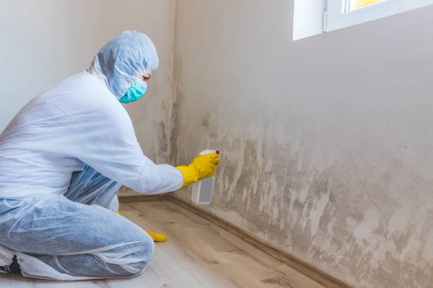 Licensed Mold Inspection And Testing service in Barton, MD - Mold Remediation HQ