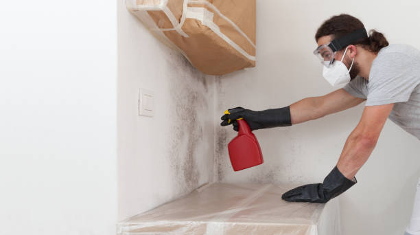 Professional Mold Inspection And Testing technician working in Barton, MD